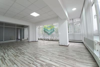 Birou de inchiriat // Domenii // Mihalache - 1