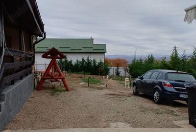 Casă în Boldești - 4