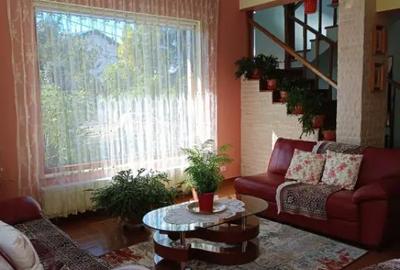 Casă cu 5 camere cu Teren 698 Mp în Albert