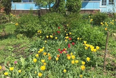 Casă în Zăpodeni - 2