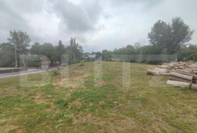 Casa 4 camere, 2610 mp teren, zona Solca, Radauti - 5