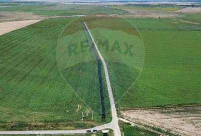 Teren de 1486280 mp, în Măicănești - 2