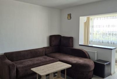 Apartament cu 2 camere în Broșteni - 3