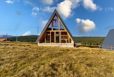 Doua cabane A-Frame, Smida - 14