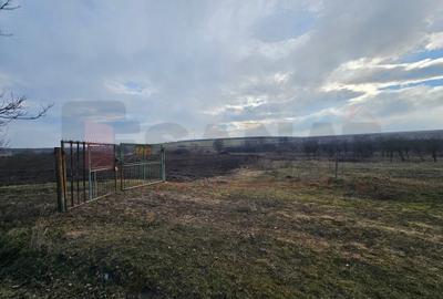Ocazie: Teren deosebit, 6.500 mp langa CSI Logistic, Rusciori |VIDEO - 10