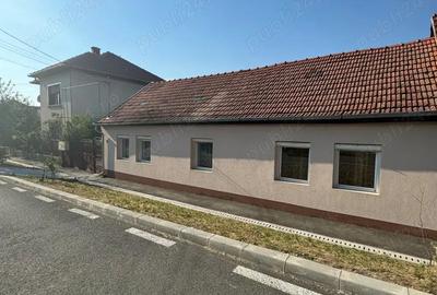 Vand schimb casa in Buzia? - 1