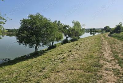Teren de 9400 mp, în Gruiu - 3