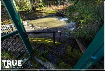 Casă cu 4 camere în Sălard - 6