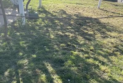 Casă cu 2 camere în Pogana - 6