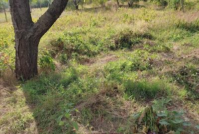 Casă cu 4 camere cu Teren 2200 Mp în Babadag - 7