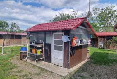 Casă cu 4 camere cu Teren 1800 Mp în Central - 5