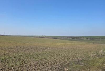 Teren de 4750 mp, în Mischii