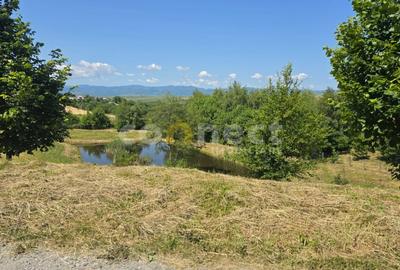 Teren Construcții intravilan de 1000 mp, în Sălicea - 7