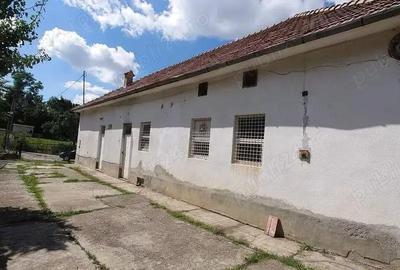 Spațiu comercial, de 301 mp, în Dârjiu - 1