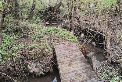 Oportunitate! Casa deosebita cu 2980 mp teren in Vulcan, Brasov - 50