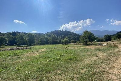 Teren extravilan de vanzare in Rasnov | 6.070 mp | Vedere panoramica - 5