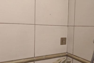 Apartament cu 2 camere decomandat în Steaua - 3