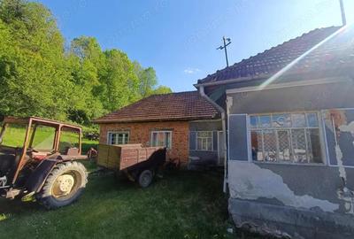 Descopera casu?a ta de vis la poalele Mun?ilor Apuseni - 17