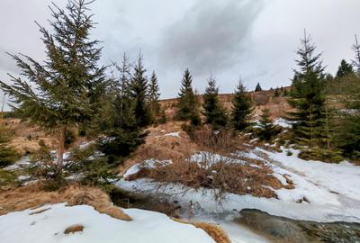 7858 mp TEREN SUPERB CU PARAU SI IZVOARE, BELIS - FANTANELE, Cluj - Transilvania - 12