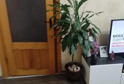 Apartament cu 2 camere în Calarași 4 - 8