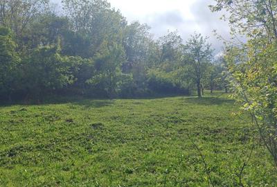 Teren Breaza 2160 mp Teren Breaza 2160 mp - 2