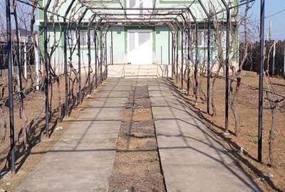 Casă cu 6 camere cu Teren 1000 Mp în Schela - 6
