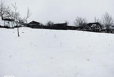 Spațiu comercial, în Cetate - 4