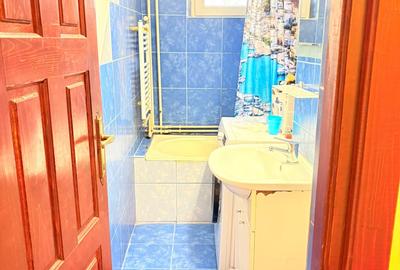 Apartament cu 2 camere Sagului- Sectia 3 Politie. - 3