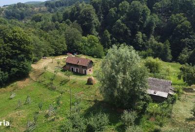 Spațiu comercial, în Cicănești - 5