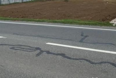 Teren de 580 mp, în Pielești