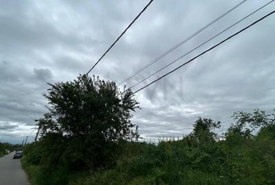 Teren Construcții intravilan de 1500 mp, în Băneasa - 3