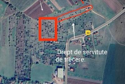 De vanzare teren extravilan in Valea Crisului