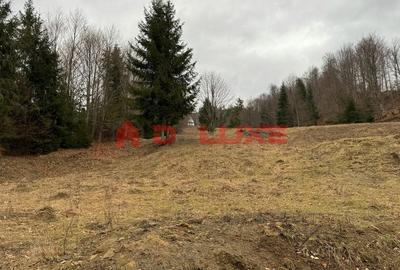 Teren intravilan Colibita-DJ 173 A - 7