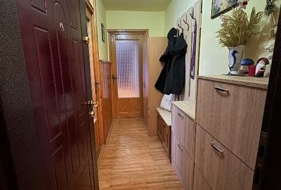 Apartament 2 camere de vanzare- Micalaca, Parcul Regina Maria, Orizont, Arad - 5