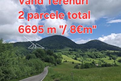 Teren de 6695 mp, în Mogoș - 3
