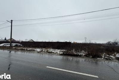 Teren de 22000 mp, în Letea Veche - 2