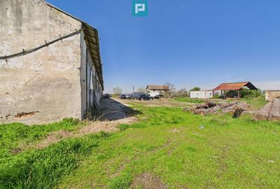 Spa?iu industrial, rampa ?i acces la calea ferata - 7