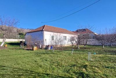 Casă cu 3 camere cu Teren 3182 Mp în Oncea - 1