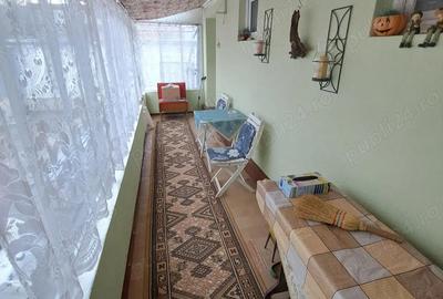 Casă cu 3 camere cu Teren 870 Mp în Văliug - 15