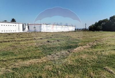 Teren Construcții de 3700 mp, în Central - 1