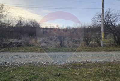 Teren intravilan de 2500 mp, în Periferie - 1