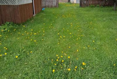 Casă cu 4 camere în Toplița - 2