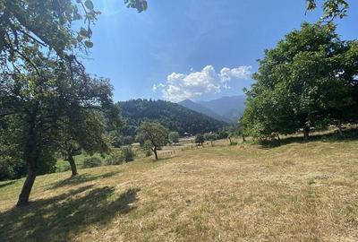 Teren extravilan de vanzare in Rasnov | 6.070 mp | Vedere panoramica - 4