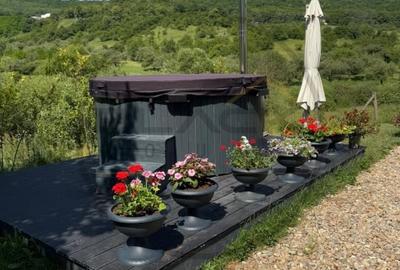 Casa Superba de vanzare, refugiu langa padure + Business Profitabil - 3