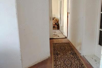 Casă cu 4 camere cu Teren 870 Mp în Bozovici - 5