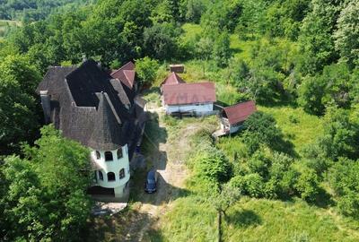 Casă cu 10 camere cu Teren 24700 Mp în Berchezoaia - 2