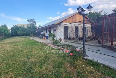 Casa cu teren de 2000 mp,  Timisoara - 2