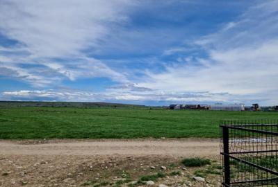 Teren extravilan 25.254 mp in zona Preajba Teren extravilan 25.254 mp in zona Preajba - 3