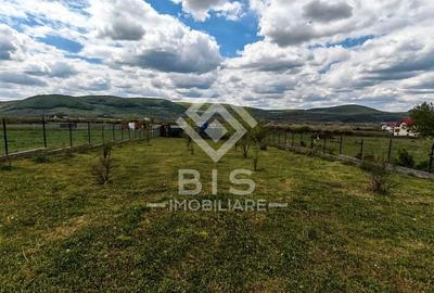 Teren Construcții intravilan de 2200 mp, în Crainimăt - 13