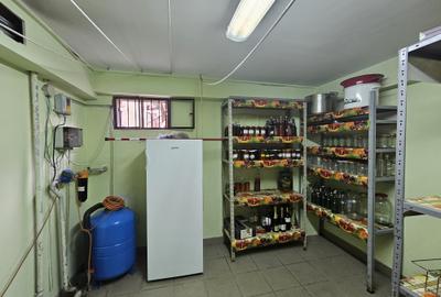 Casă individuală mare, deosebită, D+P+M, Timișoara, Braytim, comision 0% - 24